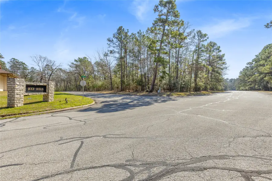 Lot 6 Bay Hill Road, Huntsville, TX 77320 - #2