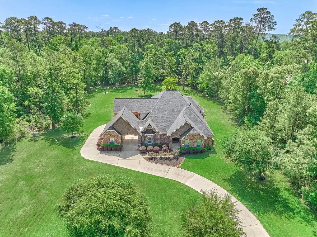 10038 Ramzi Drive, Conroe, TX 77303 - Image #1