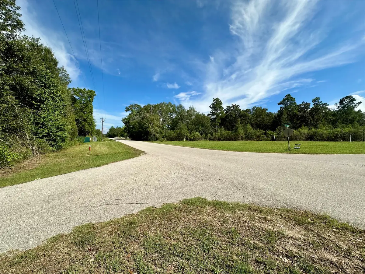 TBD N Country Wood Drive, Shepherd, TX 77371 - #1