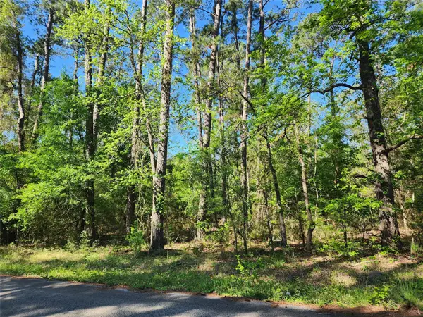 20131 Belleau Wood Drive, Houston, TX 77338