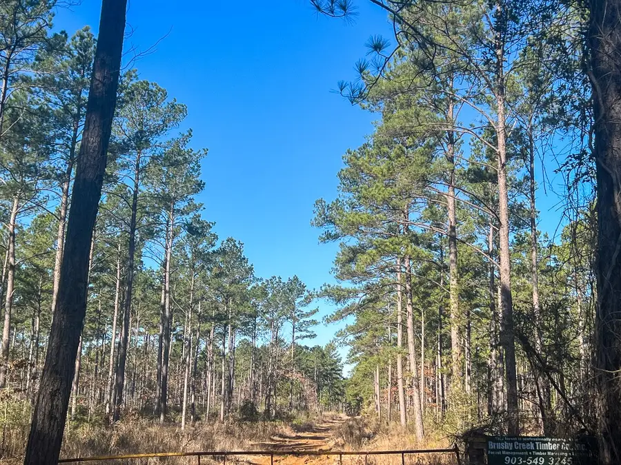 1 Highway 287, Groveton, TX 75845 - #3