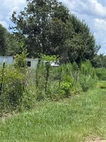 426 County Road 1420, Warren, TX 77664 - #2