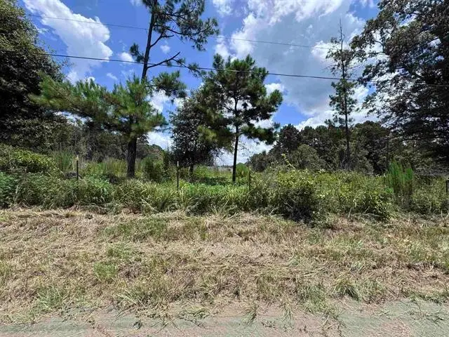 426 County Road 1420, Warren, TX 77664 - #3