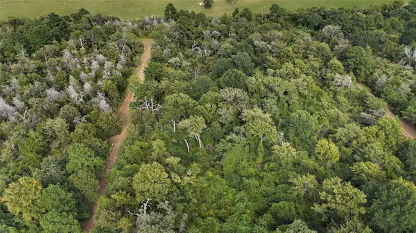 29028 Sandpiper Lane, Prairie View, TX 77445