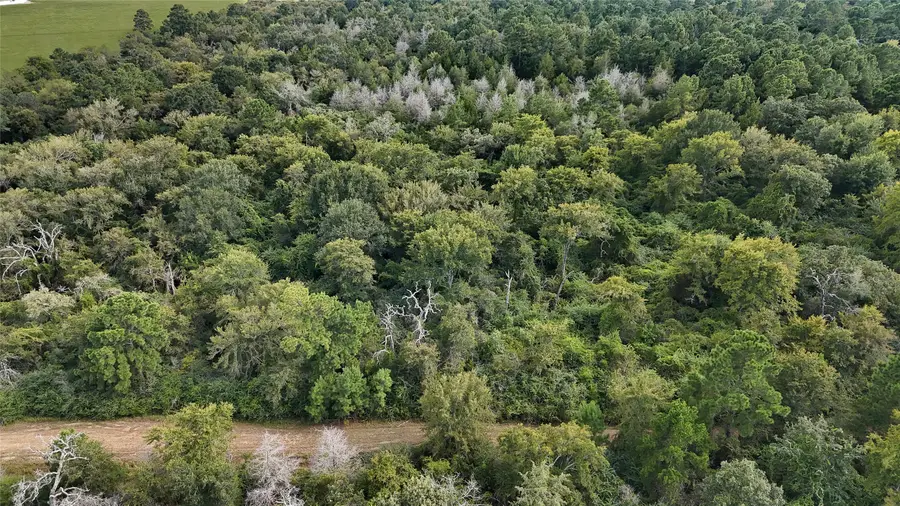 29028 Sandpiper Lane, Prairie View, TX 77445 - Image #3