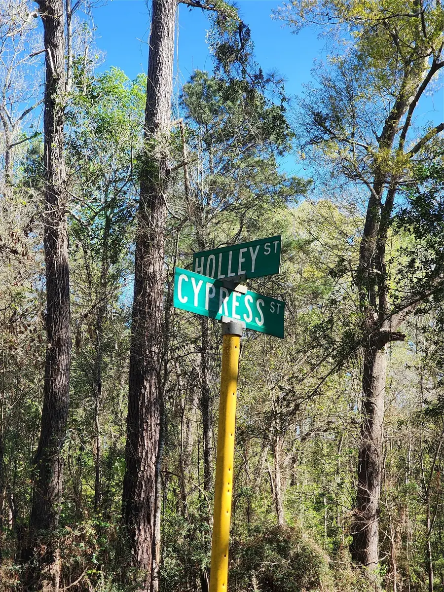 228 Holly Street, Huffman, TX 77336 - #2