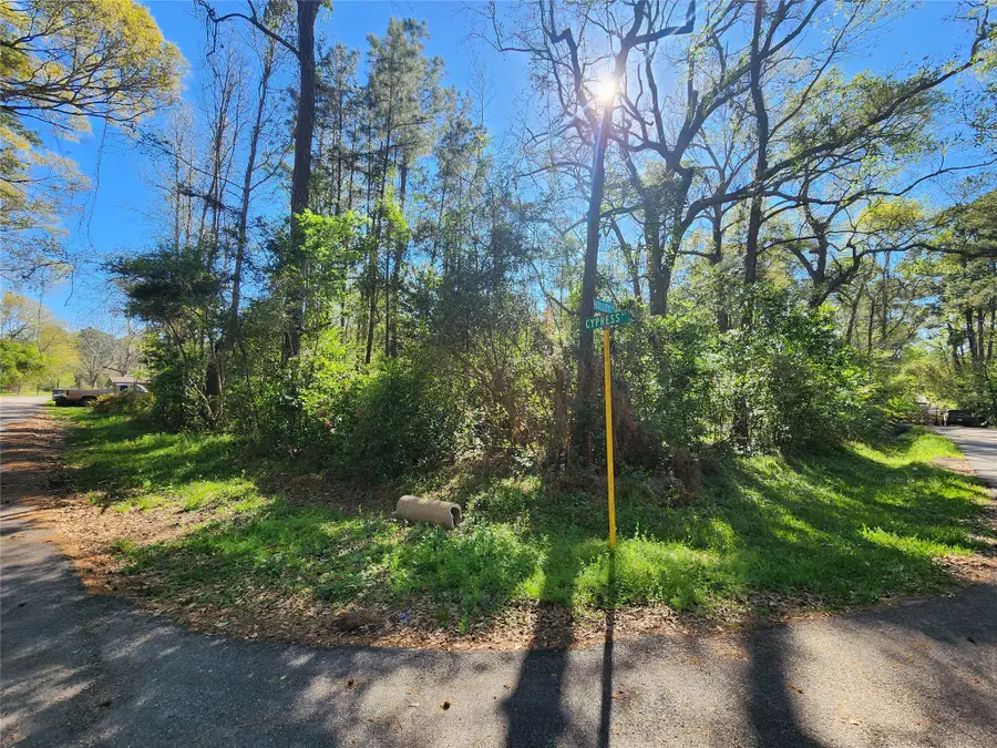 228 Holly Street, Huffman, TX 77336 - #3