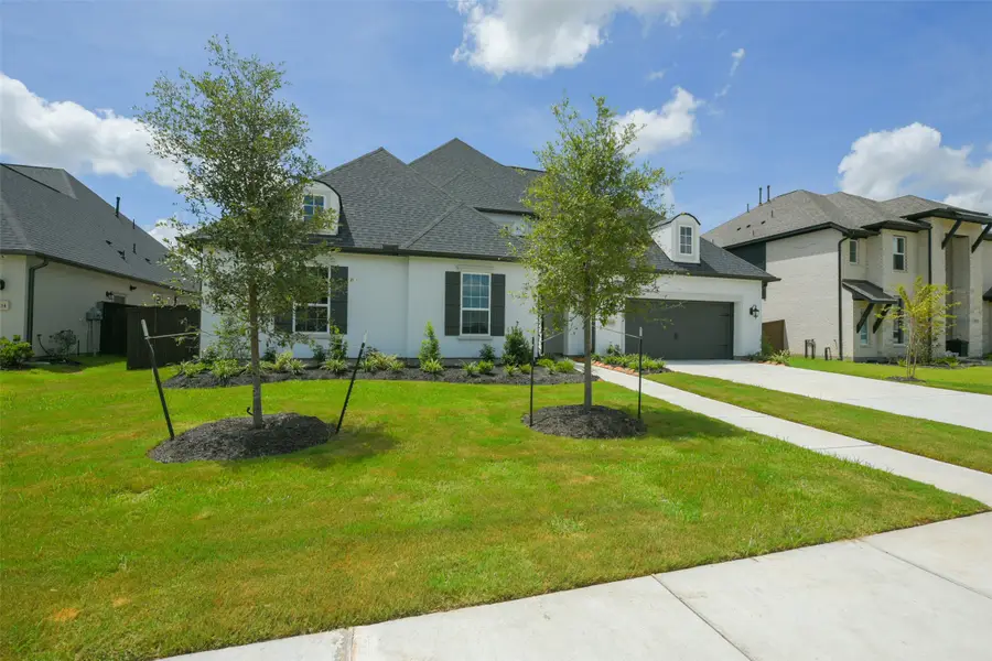 5210 Aster Ridge Lane, Manvel, TX 77578 - Image #3