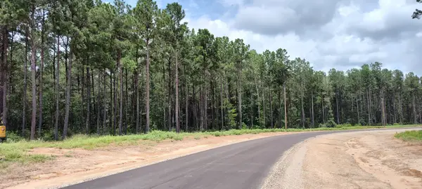 107 Henry Stuart Court, Huntsville, TX 77340