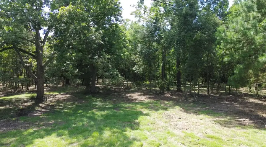 2865 Delaware Street, Beaumont, TX 77703 - Image #3