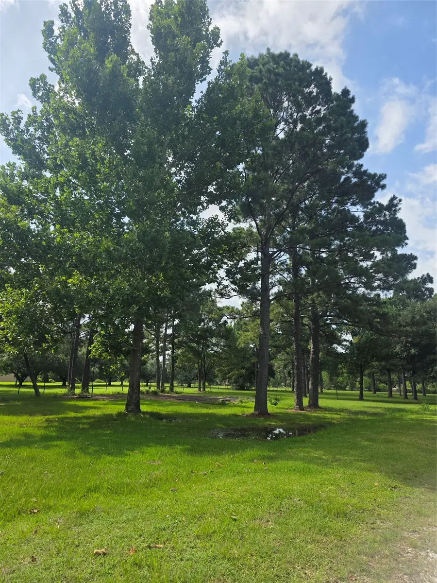 910 Sundown Meadows Street, Crosby, TX 77532 - #2