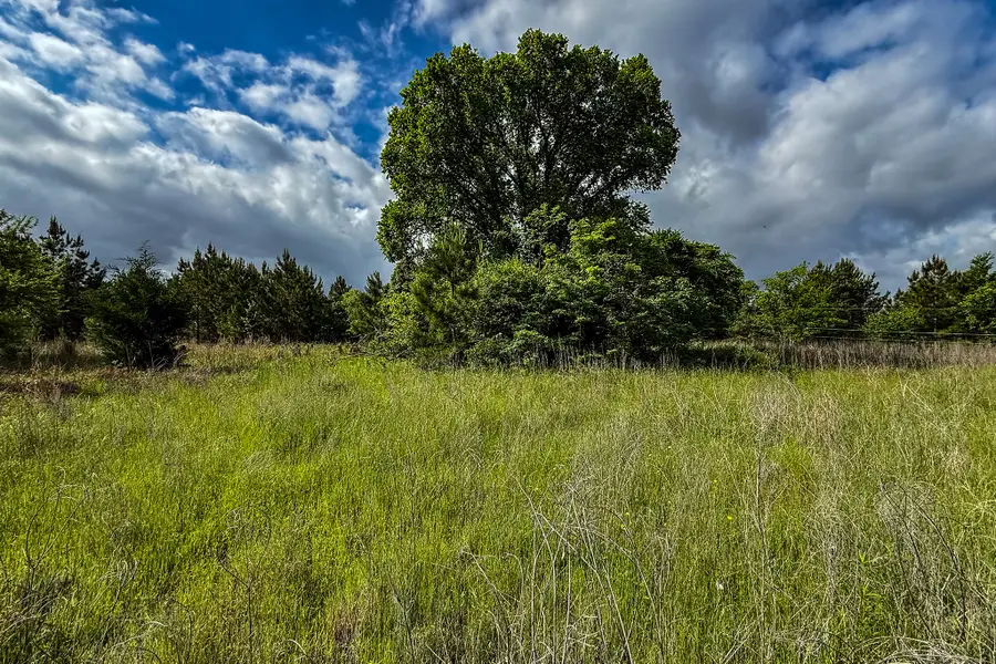 20.49 Acres State Highway 19, Huntsville, TX 77320 - #2