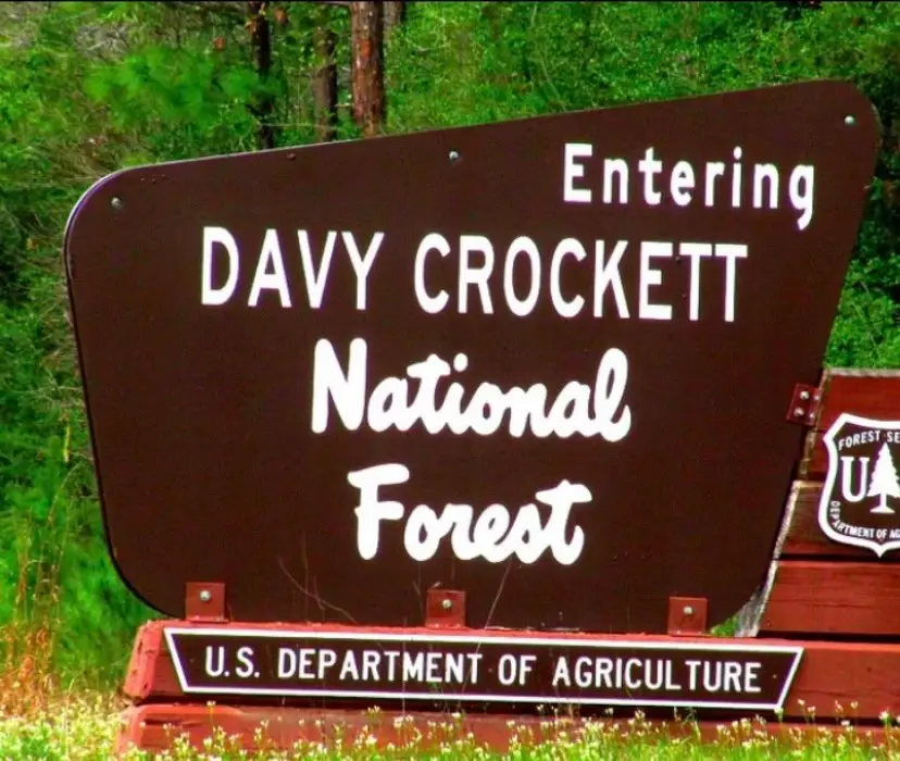 191 Fsr 587, Kennard, TX 75847 - Image #2