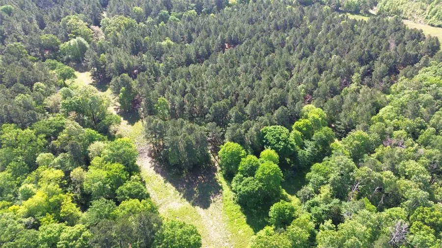 191 Fsr 587, Kennard, TX 75847 - Image #3