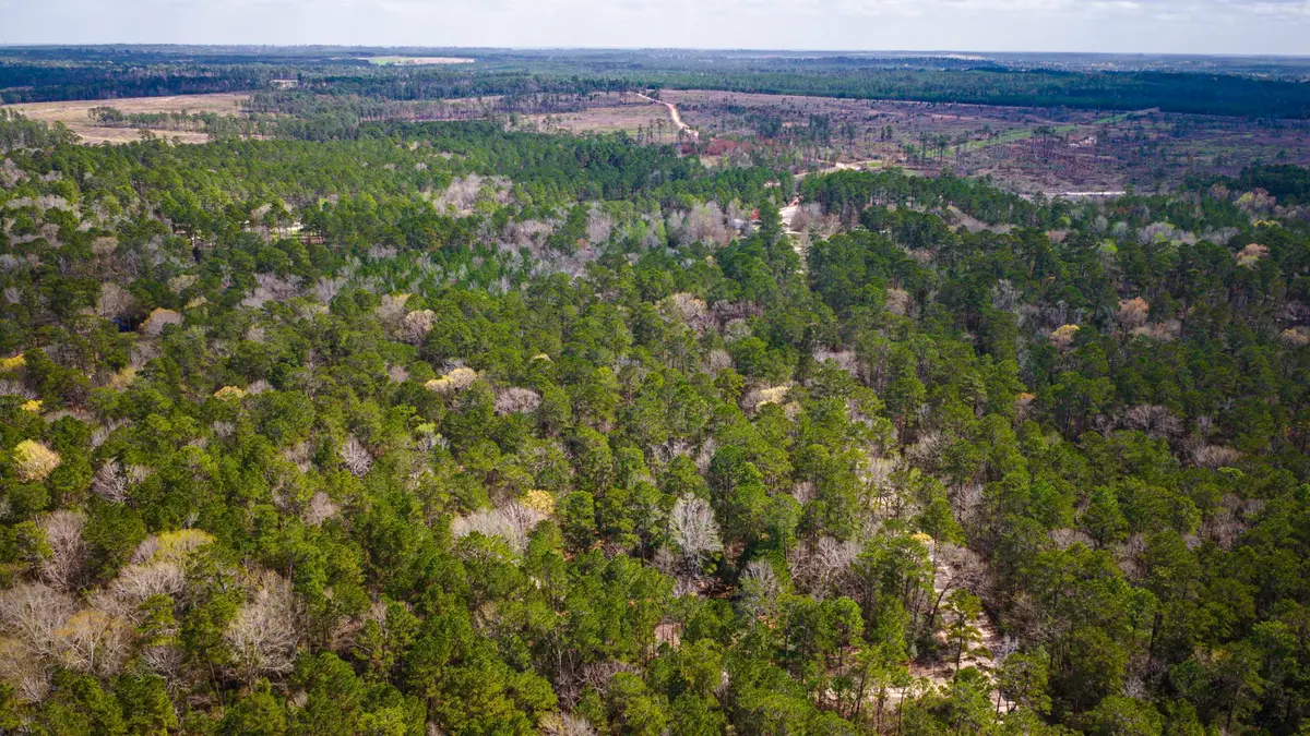 TBD Tract 5 Triple Creek Loop, Livingston, TX 77351 - #1