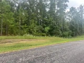 0 Texas Grand Road, Huntsville, TX 77340 - #2
