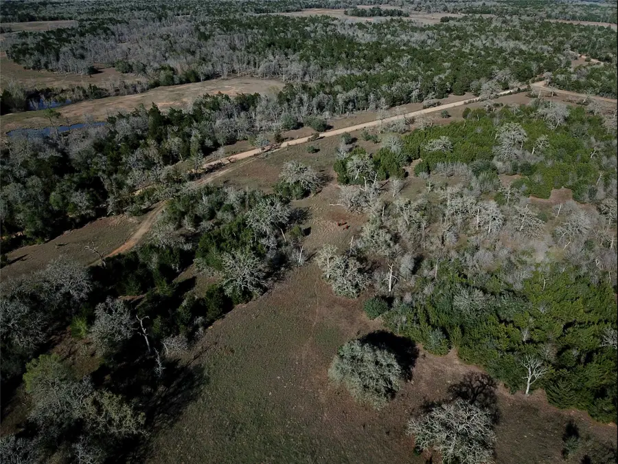 0 Dungens Mill Rd, Columbus, TX 78934 - #2