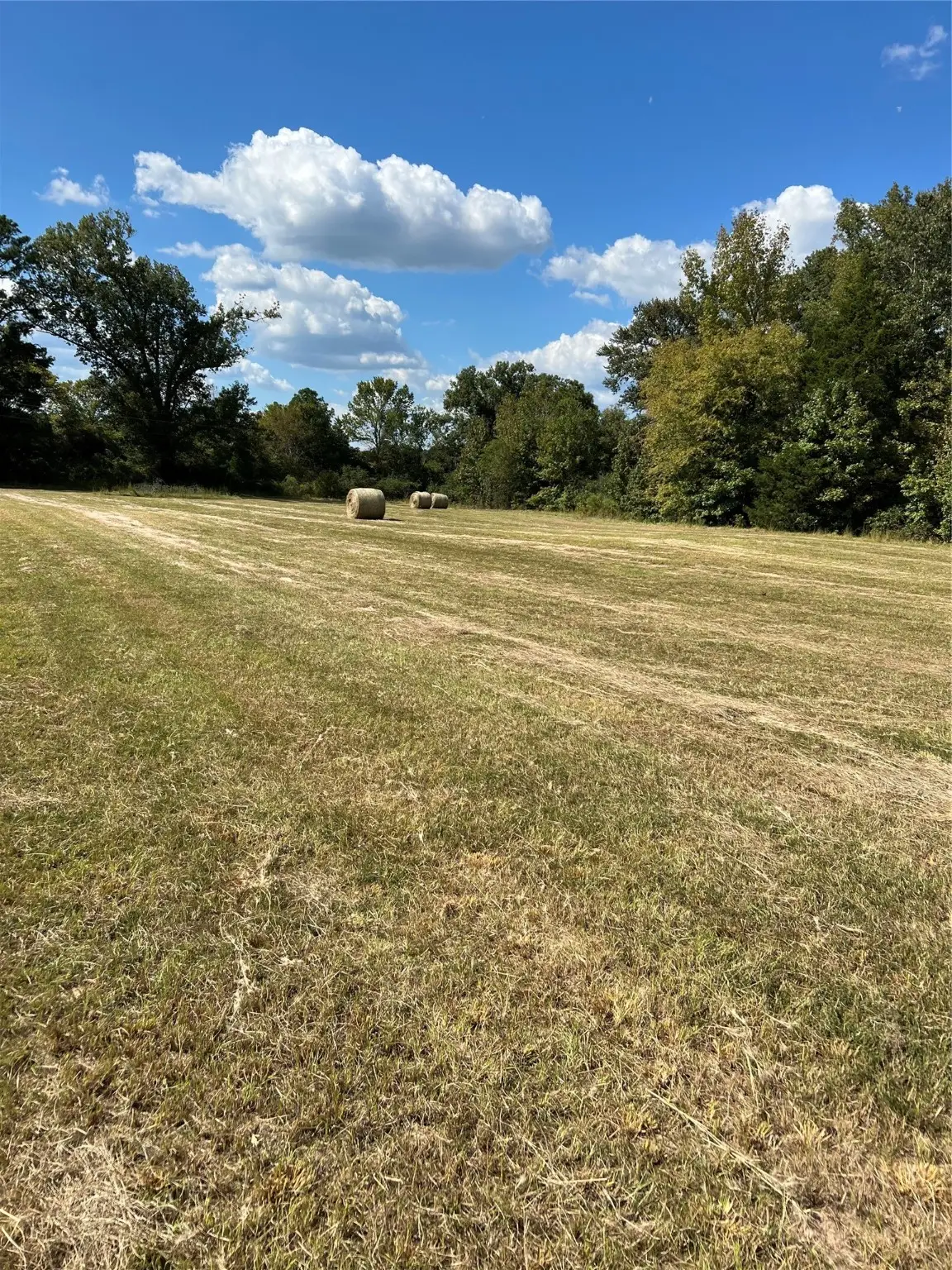 00 Acie Rhodes Road, Marshall, TX 75670 - Image #1