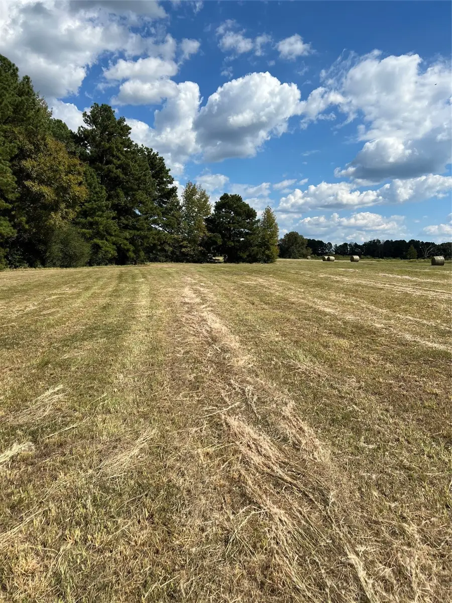 00 Acie Rhodes Road, Marshall, TX 75670 - Image #3