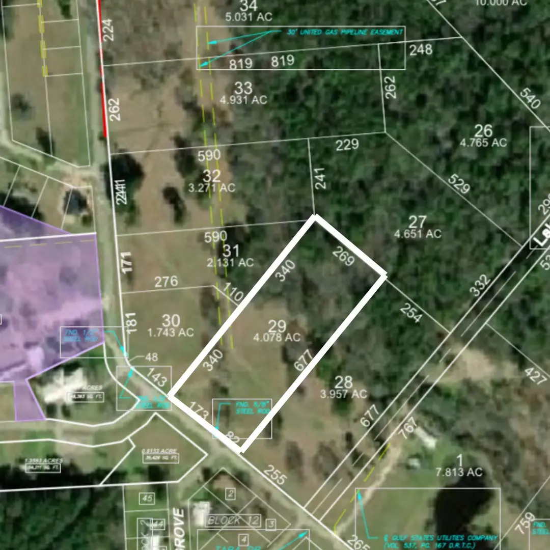 Lot 29 Lake Livingston Lane, Trinity, TX 75862 - Image #1