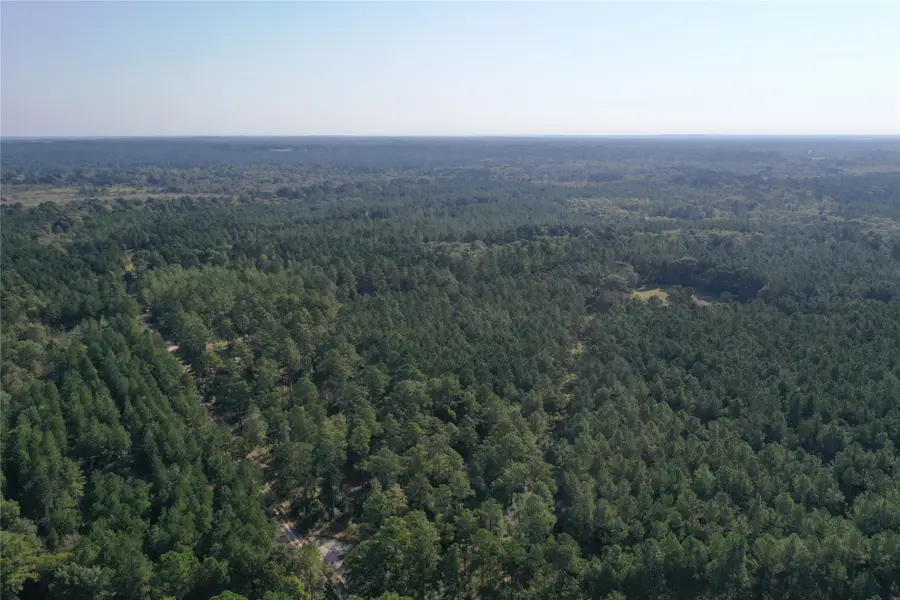 Tract 4 Trinity Lady Park Road, Trinity, TX 75862 - Image #2