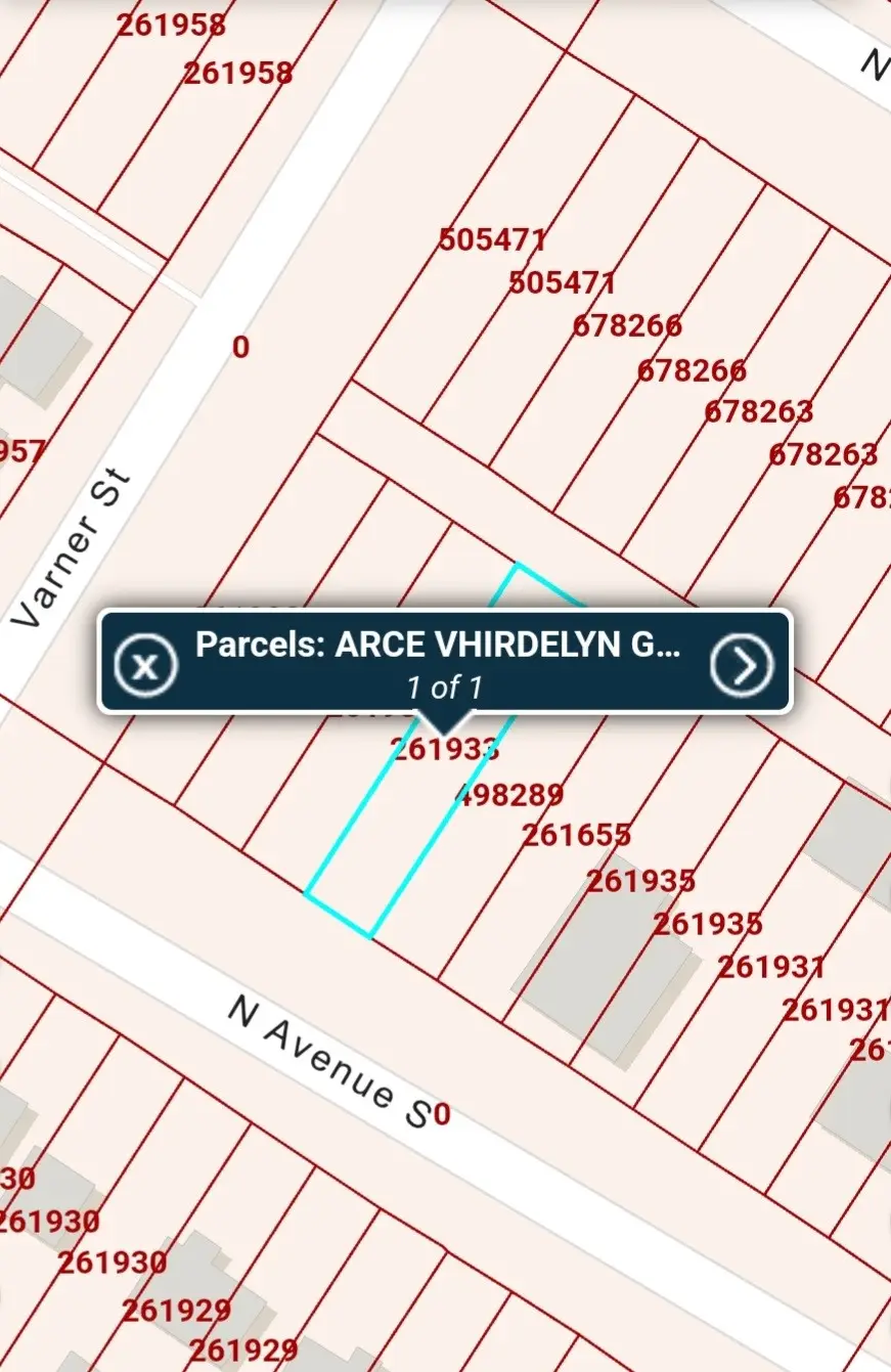 0 N Avenue S, Freeport, TX 77541 - Image #3