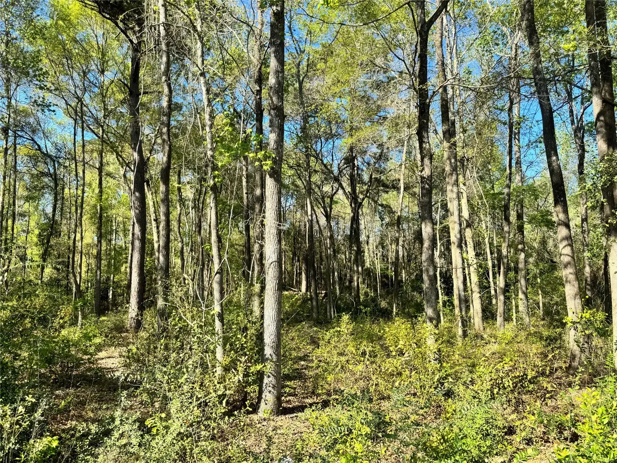 TBD Railroad Avenue, Shepherd, TX 77371 - #1