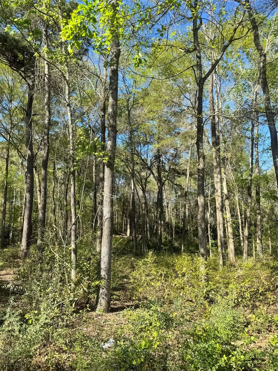 TBD Railroad Avenue, Shepherd, TX 77371 - #2