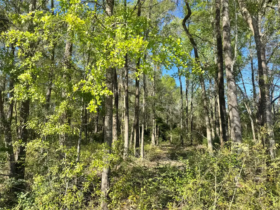 TBD Railroad Avenue, Shepherd, TX 77371 - #3