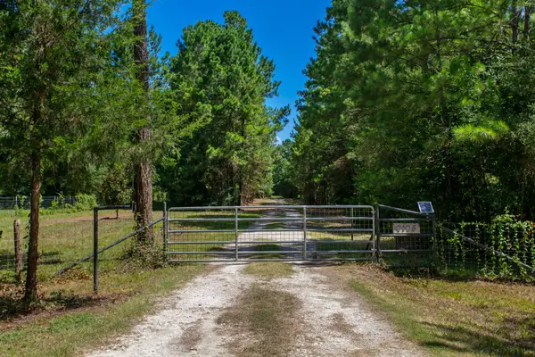 9195 County Road 207, Plantersville, TX 77363