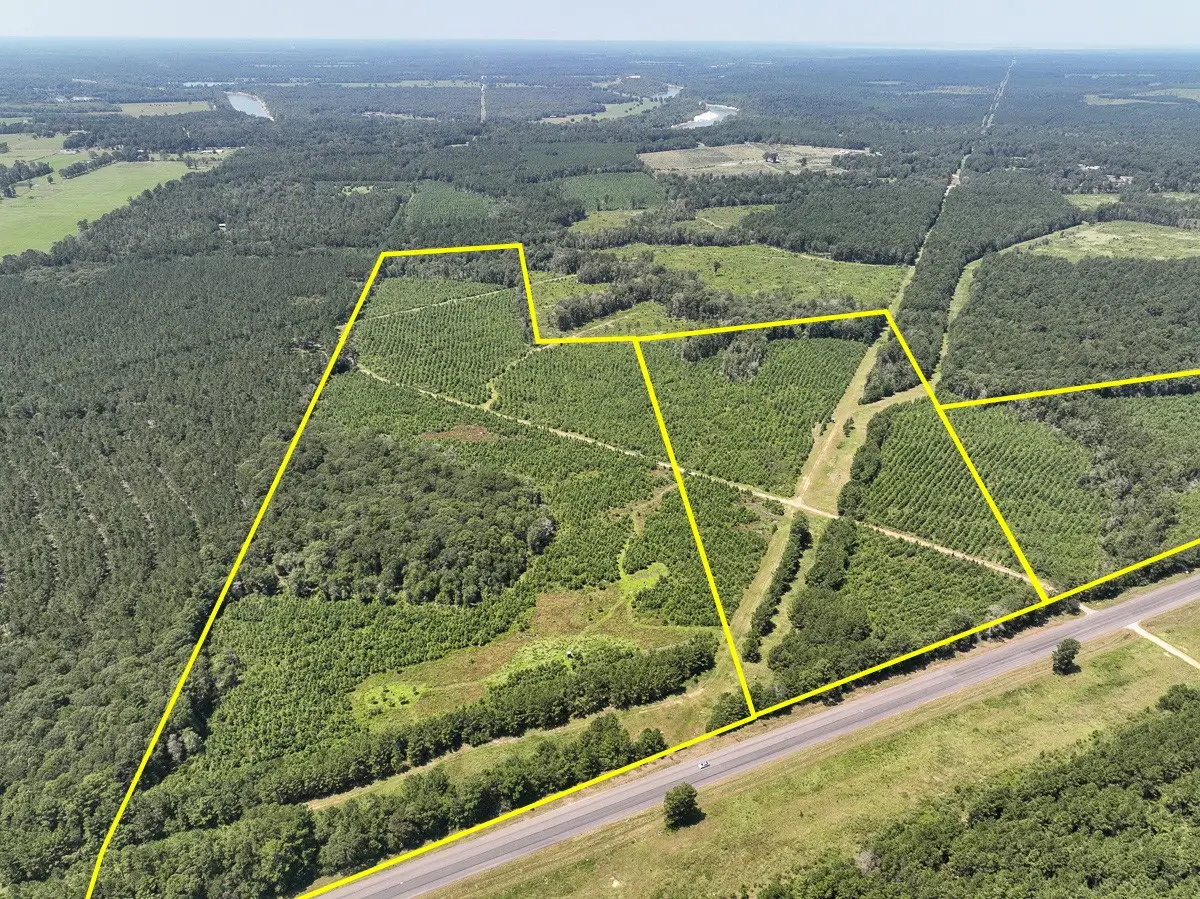 3 Highway 146, Livingston Onalaska, TX 77351 - #1