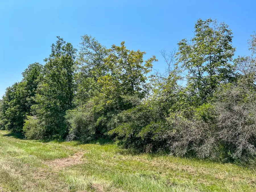 3 Highway 146, Livingston Onalaska, TX 77351 - #2