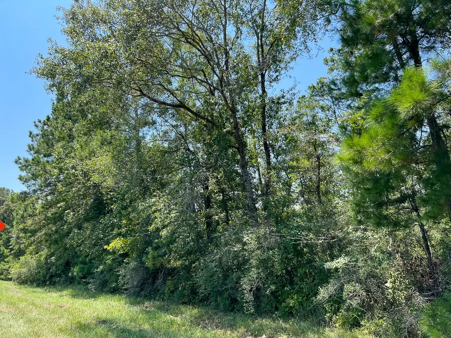 3 Highway 146, Livingston Onalaska, TX 77351 - #3