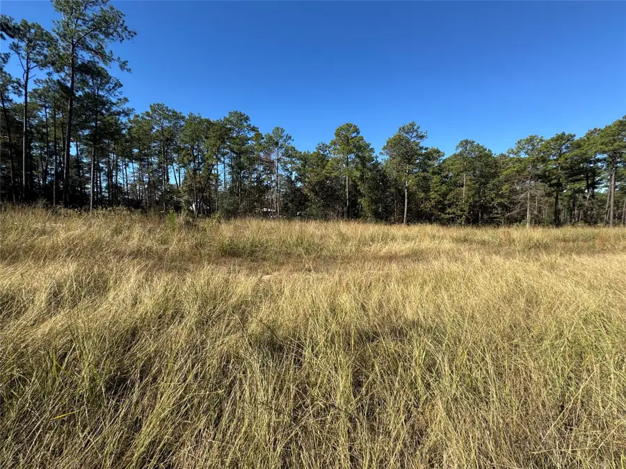 064 Private Road 6026 Tract 1-64, Brookeland, TX 75931 - Image #3