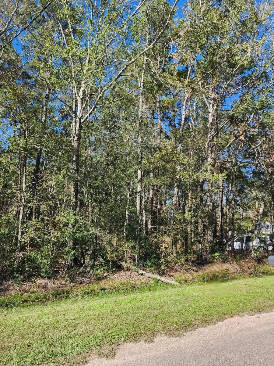 255 County Road 3662, Splendora, TX 77372 - Image #2