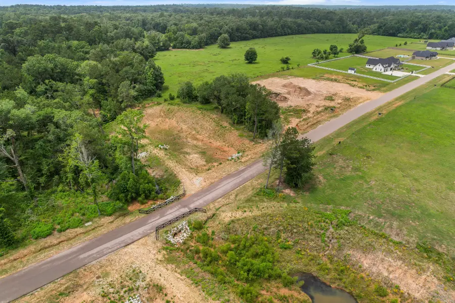 24827 Two Rivers Road, Montgomery, TX 77316 - #3