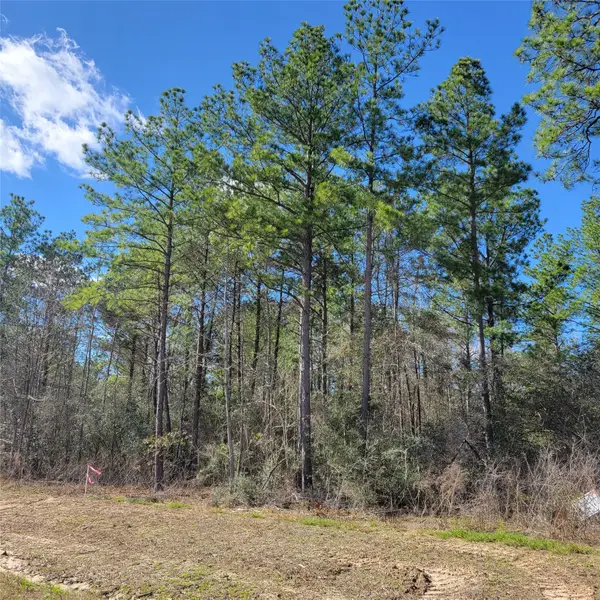 15835 Ridge Rock Road, Willis, TX 77378