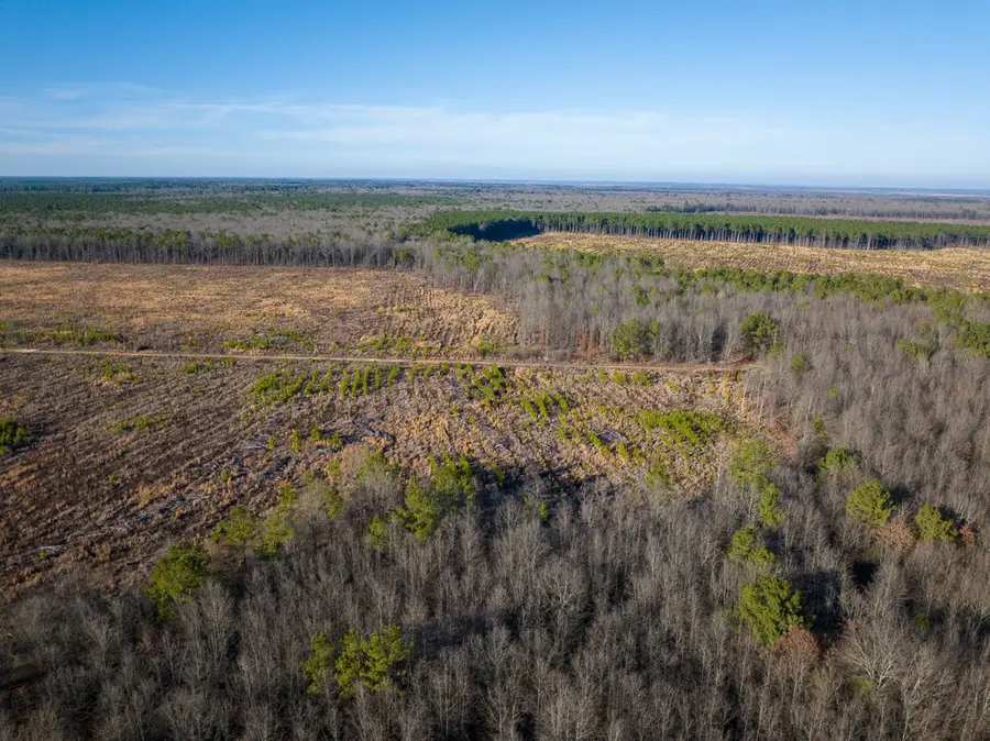 000 Fm 1159, Clarksville, TX 75426 - Image #2