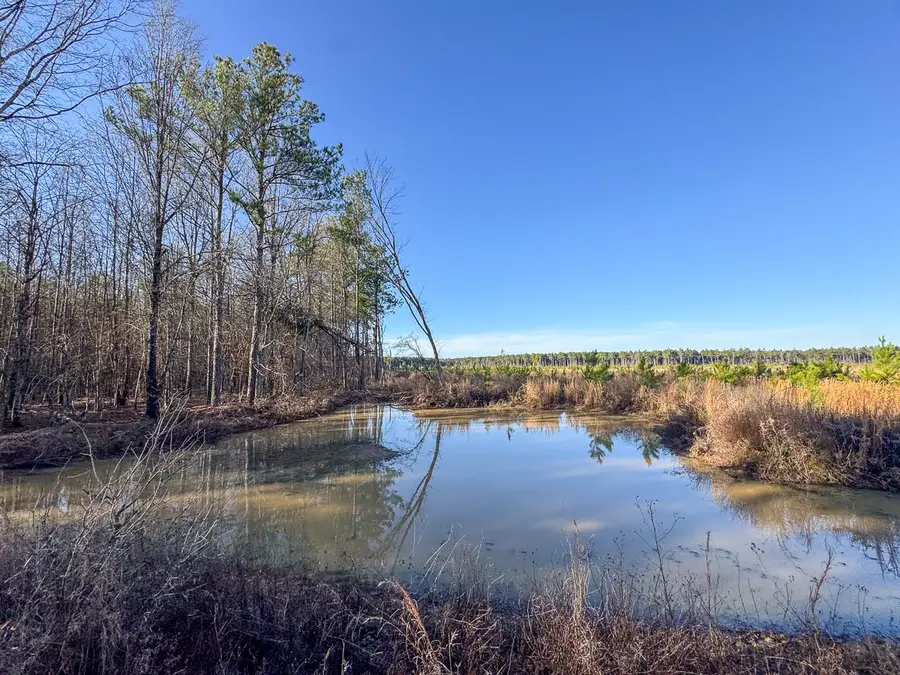 000 Fm 1159, Clarksville, TX 75426 - Image #3