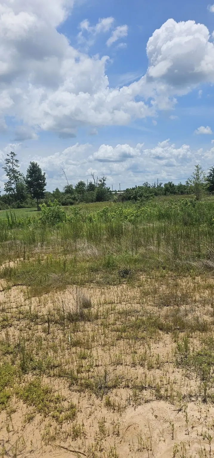 10121 Road 5839, Cleveland, TX 77327 - #2