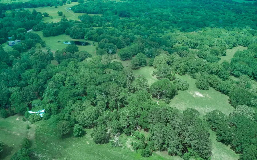 27592 S Log Cabin Road, Montgomery, TX 77356 - #3