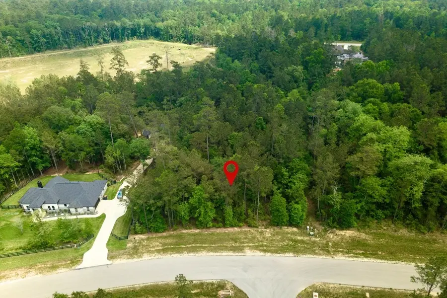 276 Exploration Road, New Waverly, TX 77358 - #2