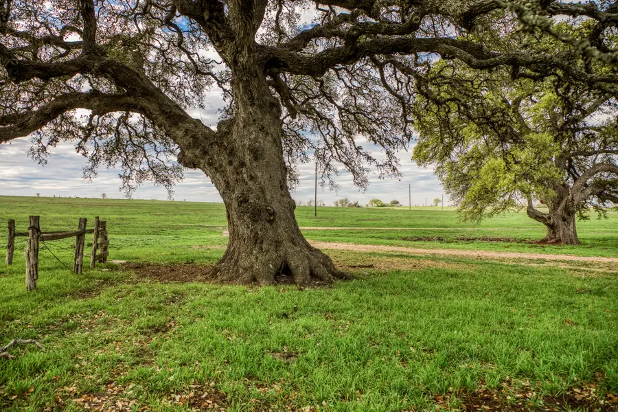 9502 Seward Plantation Road, Brenham, TX 77833 - #2