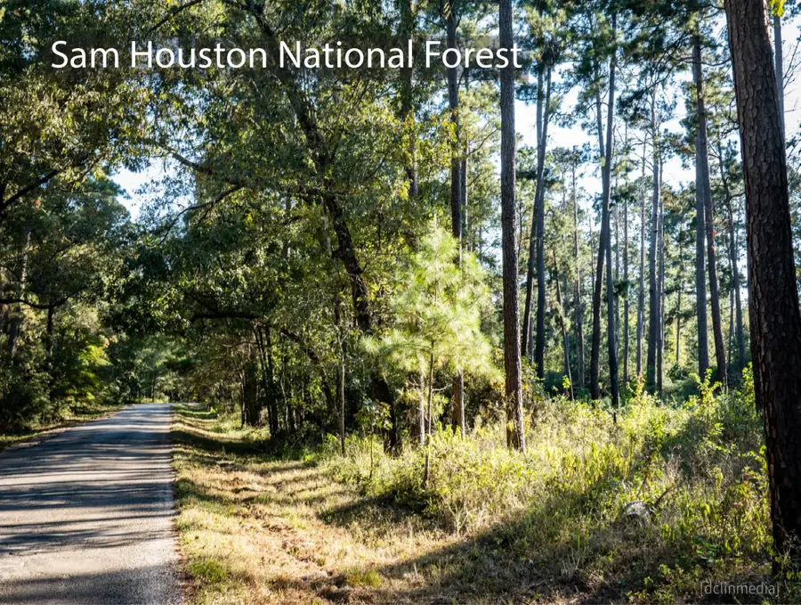 5-26-12 Inscription Lane, Huntsville, TX 77340 - Image #3