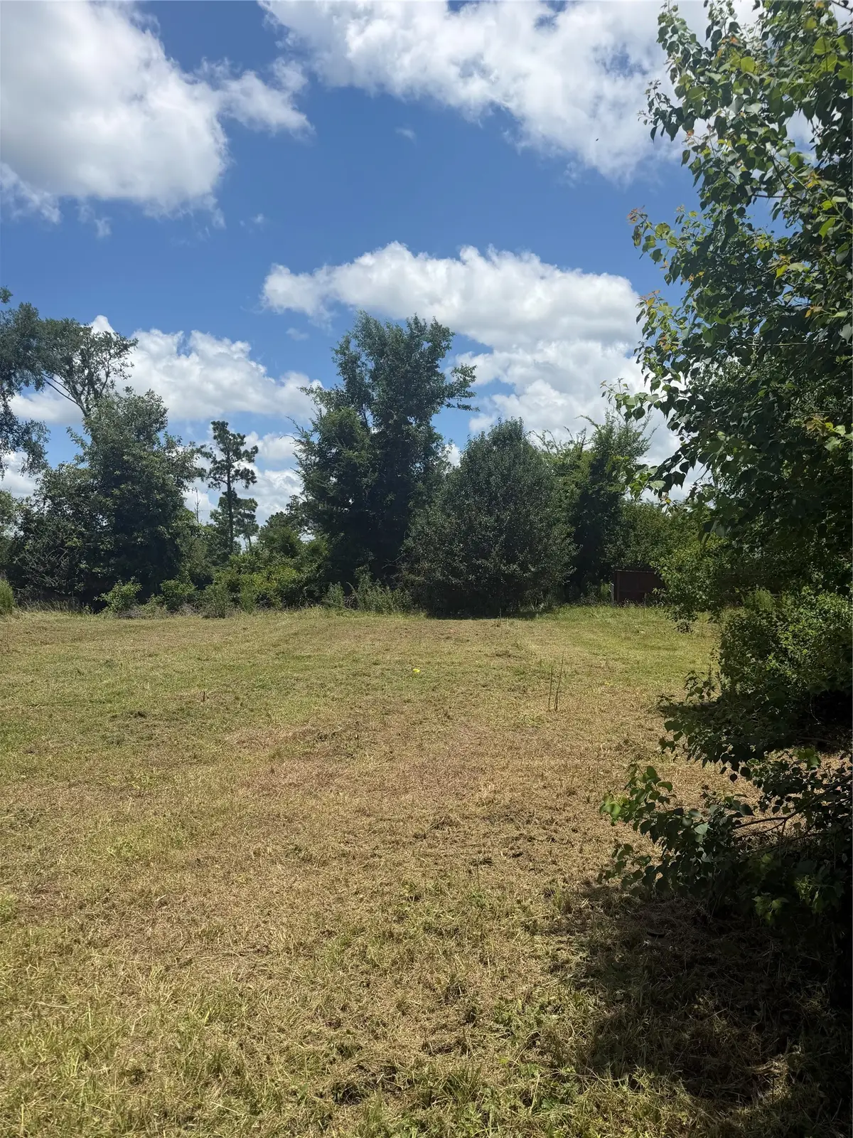 199 Mulberry Cove, Onalaska, TX 77360 - #1