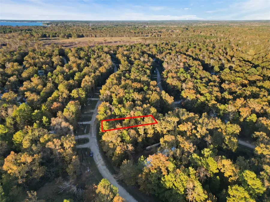 0 Moonlite Drive, Livingston, TX 77351 - #3