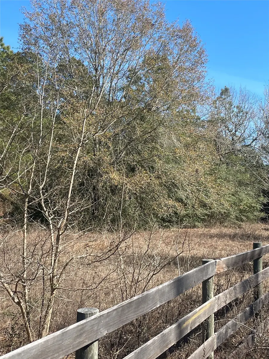 6238 County Road 302, Navasota, TX 77868 - #2