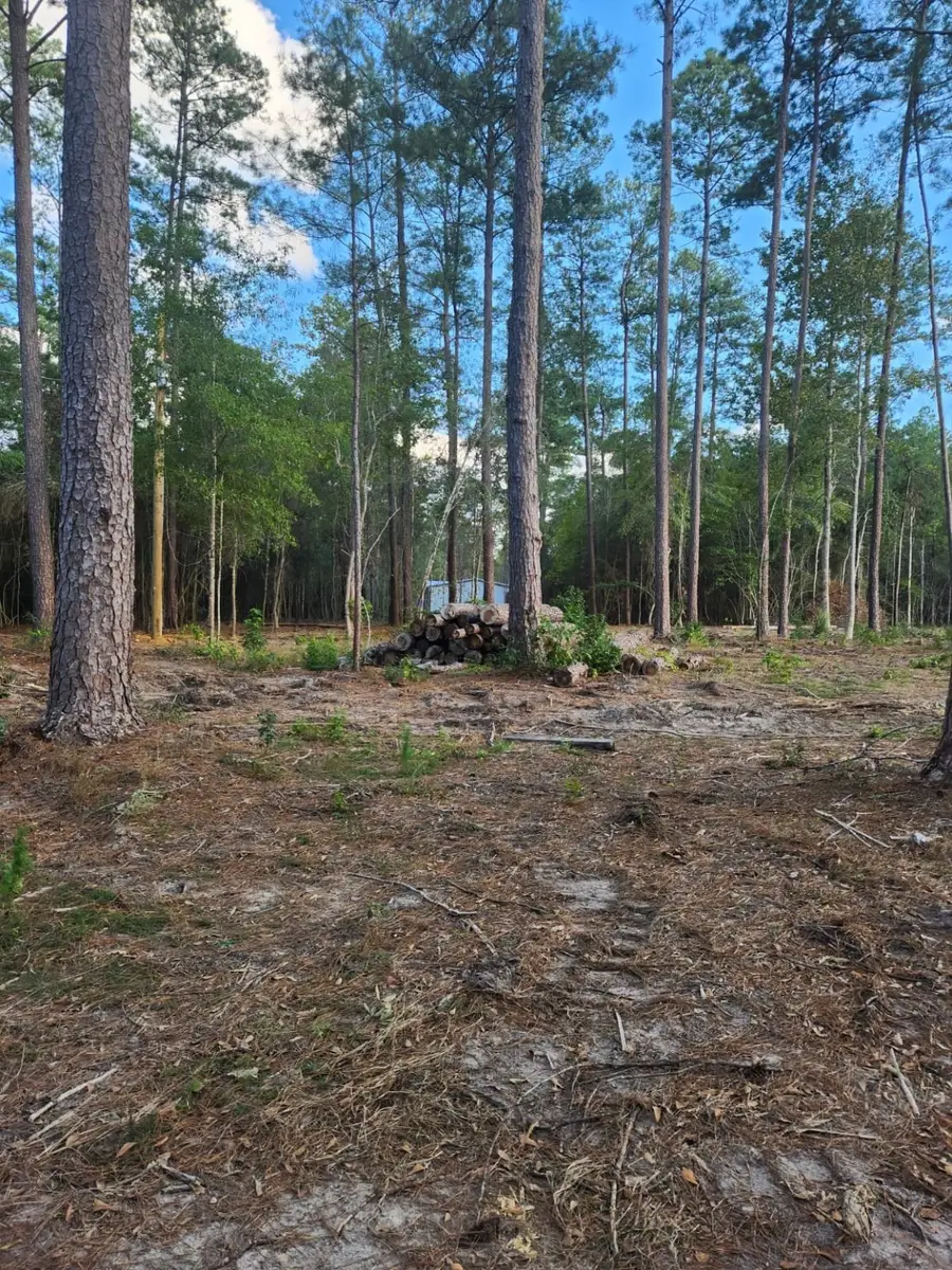 2300 Cr 1520, Warren, TX 77664 - Image #2