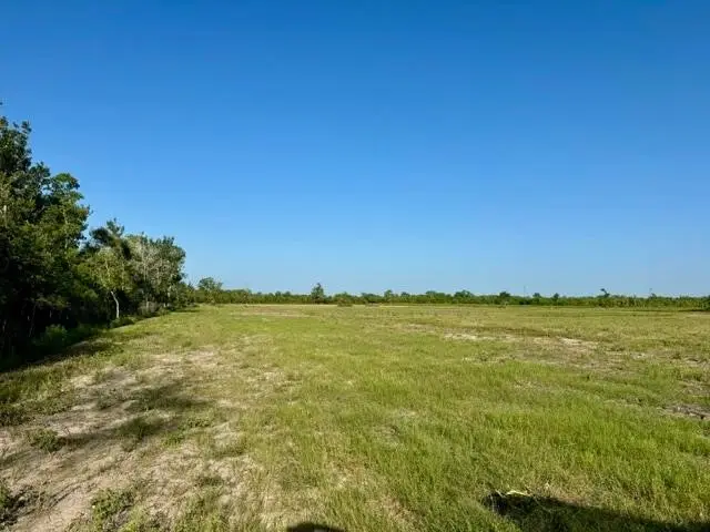 0000 Fm 1462, Rosharon, TX 77583 - #2