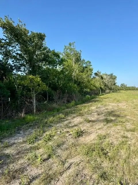 0000 Fm 1462, Rosharon, TX 77583 - #3